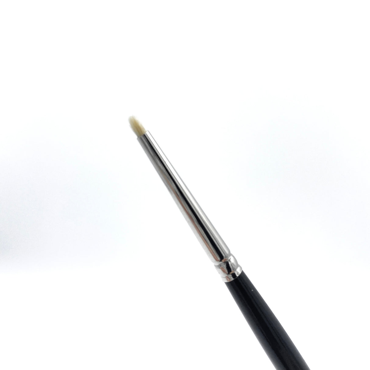 Rosemary & Co: Dry Brush - XS