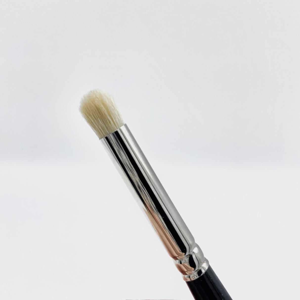 Rosemary & Co: Dry Brush - Medium
